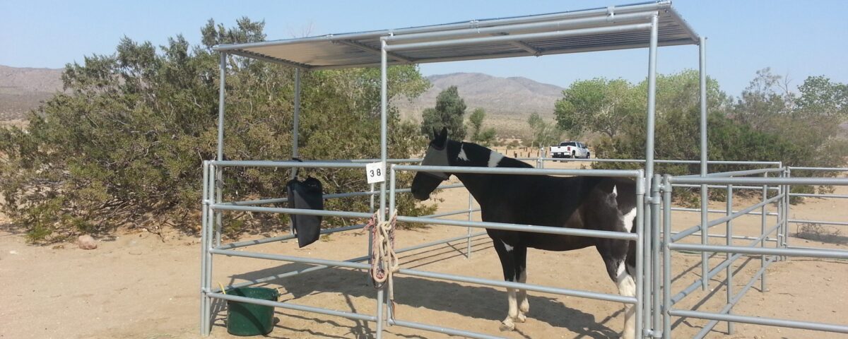 Horse camping at Stagecoach Trails Campground and RV Park in Julian CA