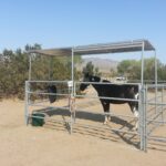 Horse camping at Stagecoach Trails Campground and RV Park in Julian CA