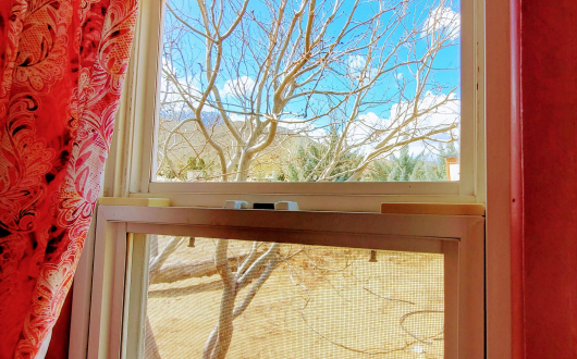 gypsy-wagon-cabin-view-from-window.jpg