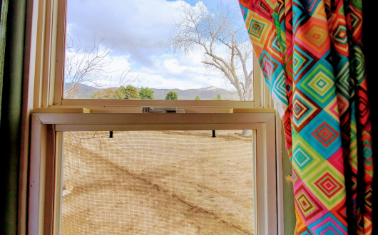 gypsy-wagon-cabin-view-from-window3.jpg