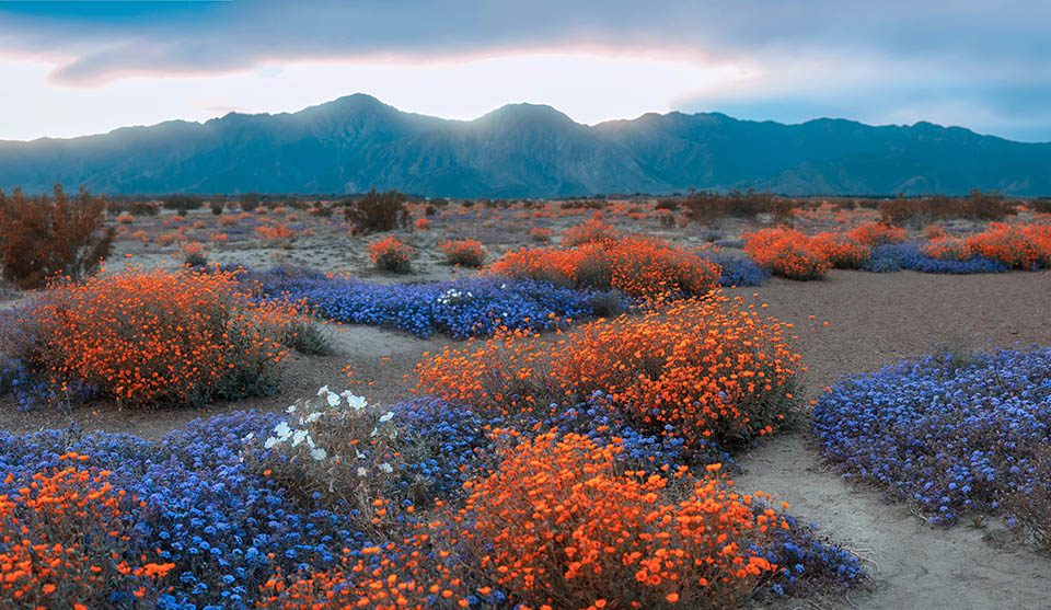 Adventure Basecamp - anza borrego state park in CA at Stagecoach Trails Campground and RV Park